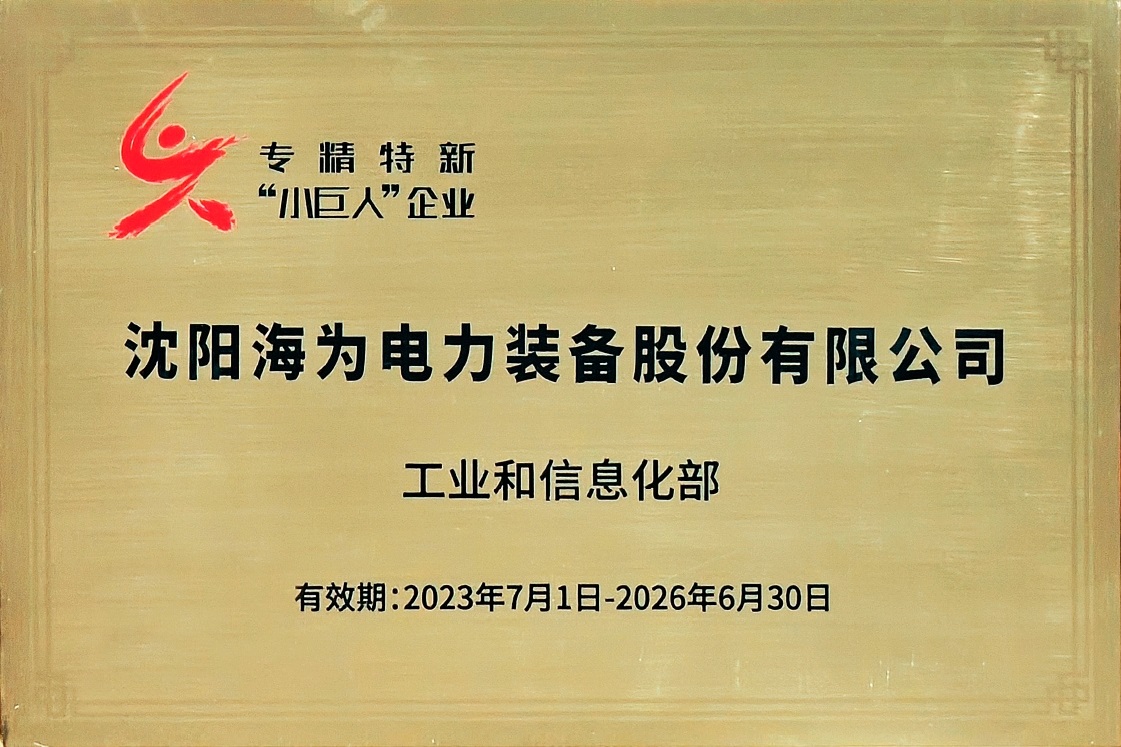 國家級(jí)專精特新”小巨人“企業(yè)